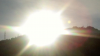patyuritosox_1603.jpg
