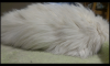 patyuritosox_1679.jpg