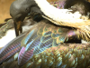 DSCN3509.JPG