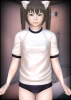 aaa.png