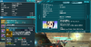 ミルダ10134096.jpg