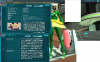 pso01.jpg