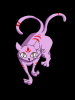 neko.png