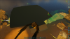ARKfp.jpg