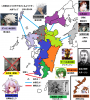kyushu2_8.png