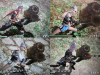 sengokumusou4_239.JPG