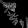 sengokumusou4_57.png