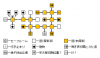 1×1_枠線無し.png