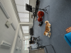 IMG_0497.jpeg