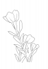 花.jpg