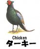 Chicken.jpg