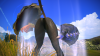 20140626_091546.png