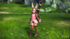 TERA_ScreenShot_20110811_094351.png