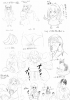 ankae.jpg
