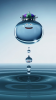 9cb24fa453d1217e942029f0ae037cbd.jpg