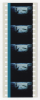 film_tr01.jpg