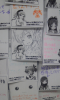 animaite_shop_3.jpg
