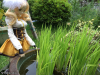 Tanbo_Mamisan_2015-2.jpg