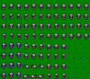 c_ghostbarrier.png