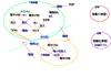 img-20130130-05.jpg
