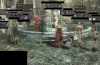 wizon2_103.jpg