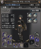 wizon2_172.jpg