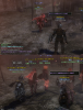 wizon2_199.jpg