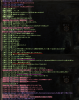 wizon2_211.jpg