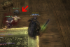 wizon2_286.jpg