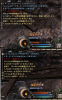 wizon2_295.jpg