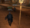 wizon2_336.jpg