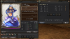 wizon2_378.jpg