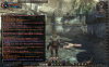wizon2_393.jpg