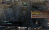 wizon2_434.jpg