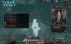wizon2_453.jpg