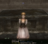 wizon2_465.jpg