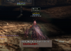 wizon2_593.jpg
