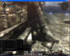 wizon2_6.jpg