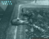 wizon2_67.jpg