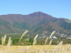 10-仙石原.JPG