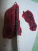P1000040.JPG