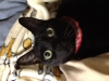 20131109_004059.jpg