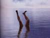 20130101_023217.jpg