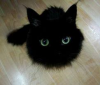20130215_031412.jpg