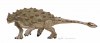 アンキロサウルス.jpg