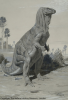 iguanodon-旧復元2.jpg