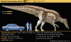 シャントゥンゴサウルス.jpg