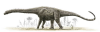 アルゼンチノサウルス.jpg