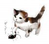 三毛猫.jpg