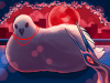 Sweet_Bird.png